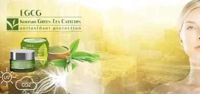 EGCG Korean Green Tea